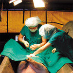 黃우석은 돼지 농장으로 간다