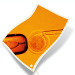 특명! 황우석 지적재산권을 지켜라