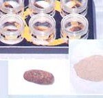 구약이 명약? ‘한방 외용약’ 뜬다