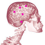 초등학교 짝꿍 이름 기억하나요