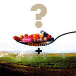 비타민 많이 먹으면 ‘탈 날라’