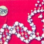 ‘불량 유전자’ 차별받는 세상 올까