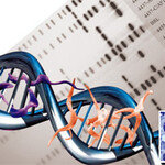 지긋지긋한 기생충 굿바이?