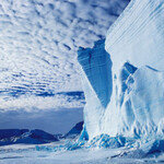 남극의 잃어버린 세계 개봉 박두?