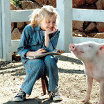 ‘고기’의 운명을 뛰어넘은 돼지들