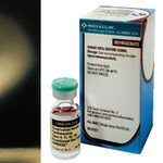 ‘가다실’ 성생활 시작 전 접종해야