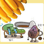 ‘황금색 바나나’를 보고 싶다