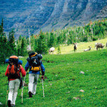 가을 산행엔 ‘다리’를 애인처럼!