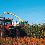 생명공학 잘나가도 육종 기술 “기 안 죽어”