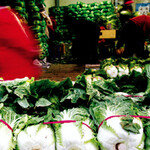 배추, 시집간다