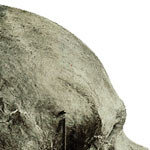 얼굴 복원, 신원을 알려주마!