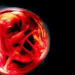 “금발에 파란 눈 아기 주세요”