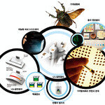 똑똑한 인터넷 개인비서 써볼까?