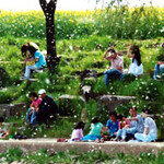 알레르기 탈출! 내년부터 꽃가루 예보