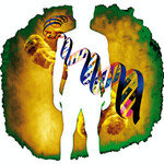 태음인의 유전자, 너 나와라!