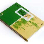 20년 문학 여백, 벽을 넘은 그 여자