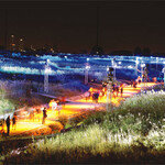 바람에 실려 가을이 저만치 가네