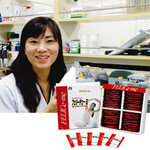 나잇살? ‘L-카르니틴’에게 물어봐