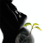 태반주사 웰빙 수호신 되다