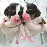 난치병·불치병 완전정복 ‘도전장’