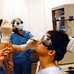 허스키 보이스? 성대질환 의심!