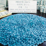 짝퉁으로 세우려다 목숨 잃을라!