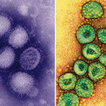 인공생명체 첨단산업이 뜬다