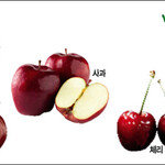 지칠 줄 모르는 활력 충전 ‘레드푸드’ 