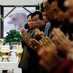 망할 놈의 구제역, 지켜주지 못해 미안해 