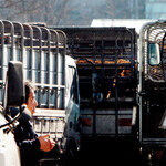 살처분과 도축 사이에서