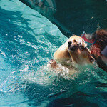 뭐야, 벌써 여름이야?