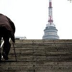 계단 오르막보다 힘든 인생 내리막 