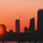 떠오르는 새 희망