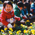 노란 봄을 심어요