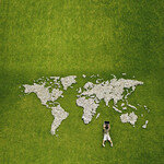 ‘웹’은 열려 있다, 고로 진화한다