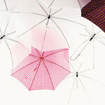‘비와 로맨스’ 우산을 펴면 당신도 주인공