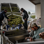 “와인보다 맥주! 위기의 프랑스…美 관세 공격에 타격