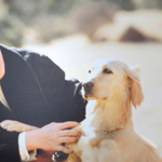  “개는 내게 인생 가르쳐준 스승”