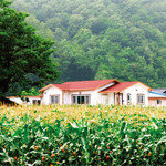 시골에 집이 1채 더 있어도 ‘1세대 1주택 비과세’ 되나요?