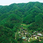 SK, ESG 경영 발원지 충주 인등산에 ‘넷제로(Net Zero)’ 심다