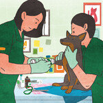 이제 동물병원도 전문화 추세