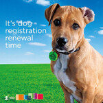 동물등록 갱신제, 한국도 이제 도입 고민할 시점