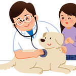 동물진료비 게시 의무 항목, 많다고 좋을까