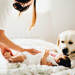 반려견과 아기 단둘이 두는 건 위험