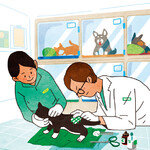 점점 늘어나는 수의사의 동물 학대 논란