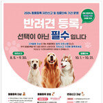 외장형 태그 등록 허용한  ‘동물등록 자진신고’의 허점