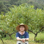 로스쿨 졸업한 청년, ‘유기농 쑥 재배’로 인생 2막 열다