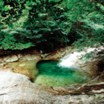 한국의 미래 밝힐 명당터 산재한 대전·충청권