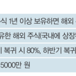 국내시장 복귀 계좌, 서학개미 마음 돌릴 수 있을까