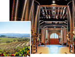 샤토 몬텔레나의 와인 양조실(오른쪽)과 포도밭 전경. [사진 제공 · ㈜나라셀라]